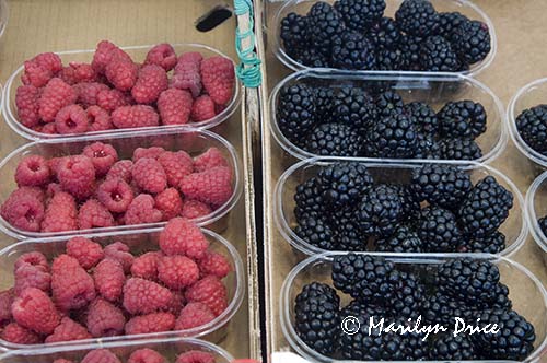 Raspberries and blackberries, Rialto Market, Venice, Italy