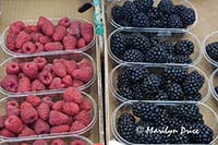 Raspberries and blackberries, Rialto Market, Venice, Italy