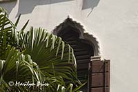 Window and palm, Venice, Italy