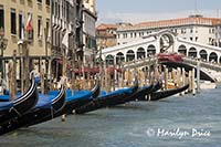 Gondolas and Rialto Bridge, Venice, Italy