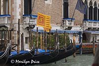 Gondolas and waving flags, Venice, Italy