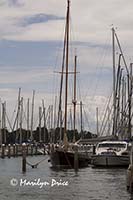 Marina, San Giorgio, Venice, Italy