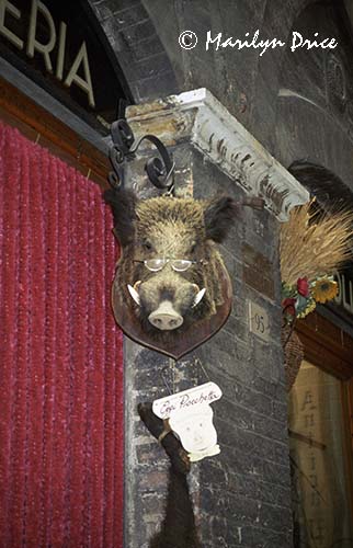 Hog with glasses outside of a butcher's shop, Siena, Italy