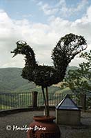 Topiary of the black rooster of Chianti, Radda in Chianti, Italy