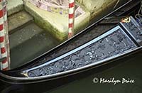 Prow of a gondola, Venice, Italy