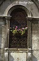 Flowers in a grilled window, Venice, Italy