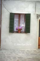 Window with flowers and lace curtain, Burano, Italy