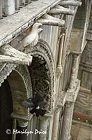 Arches of San Marco, Venice, Italy