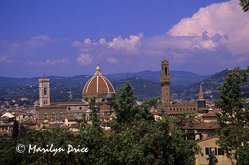 Florence skyline including Duomo and Palazzo Vecchio, Florence, Italy, from Boboli Gardens