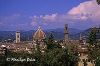 Florence skyline including Duomo and Palazzo Vecchio, Florence, Italy, from Boboli Gardens