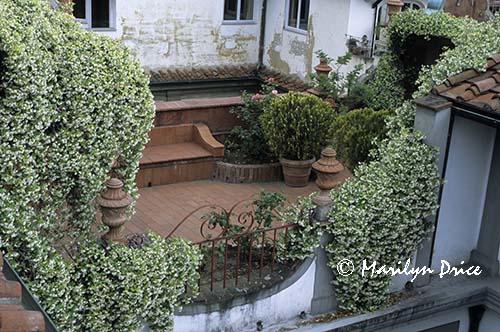 Rooftop garden, Palazzo Pucci, Florence, Italy