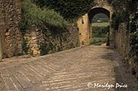 Looking out the Town gates of Monteriggioni, Italy