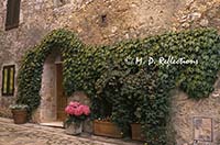 Ivy covered doorway, Monteriggioni, Italy