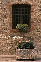 Window, Monteriggioni, Italy 