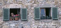 Tuscan gardener, Castellina in Chianti, Italy