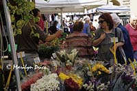 Flowers for sale at market, Greve in Chianti, Italy