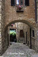 Arched passageway, Montefioralle, Italy