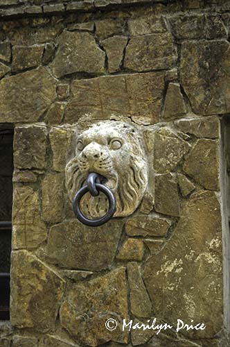 Lion hitching ring, Montefioralle, Italy