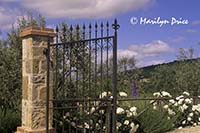 Private garden with gate, Volpaia, Italy