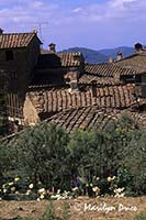 Rooftops of Volpaia, Italy