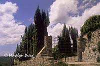 Cypress and entrance to a hotel, Vertina, Italy