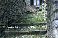 Stairs and cat, Vertina, Italy