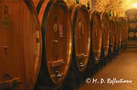 Barrels of wine in a wine cellar, Vignamaggio, Italy