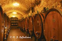 Barrels of wine in a wine cellar, Vignamaggio, Italy