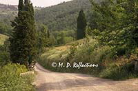 Country road, San Guisto in Salcio, Italy