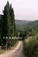 Country road, San Guisto in Salcio, Italy