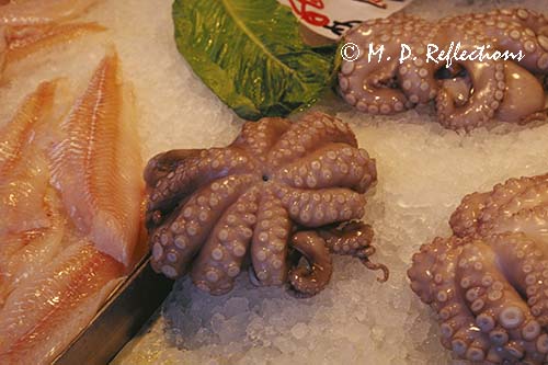 Octopus, Rialto fish market, Venice, Italy