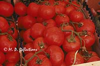 Tomatoes at Rialto market, Venice, Italy