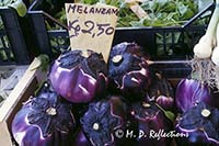 Eggplant at Rialto market, Venice, Italy