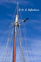 Details of the schooner Bluenose II