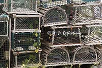 Stacked lobster pots