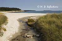 Stream entering Crystal Crescent Beach, Nova Scotia