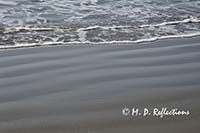 Tidal ripples in the sand