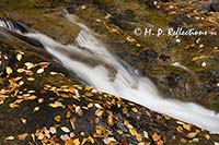 Autumn cascade with leaves, Rainbow Stream