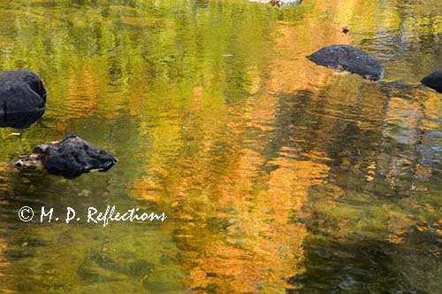 Autumn reflections in Polliwog Stream