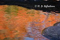 Autumn reflections in Polliwog Stream