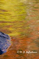 Autumn reflections in Polliwog Stream