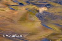 Autumn reflections in Polliwog Stream