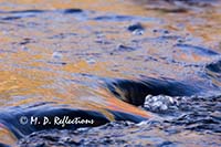 Autumn reflections in Polliwog Stream