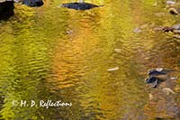 Autumn reflections in Polliwog Stream