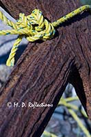 Yellow rope tied to a rusty anchor, Bass Harbor, ME