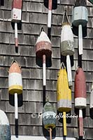 Lobster bouys on a wall of a wedding chapel in Bernard, ME