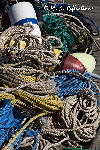 Lobster bouys and ropes, Bernard, ME