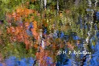 Autumn reflections, Somesville, ME