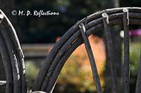 Autumn colors and a bentwood chair, Somesville, ME