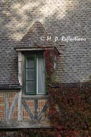 Autumn vines climb a gatehouse, Acadia National Park, ME